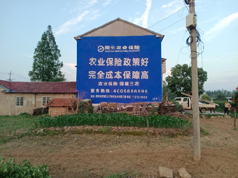 宜丰墙体广告的优劣势你知道吗？